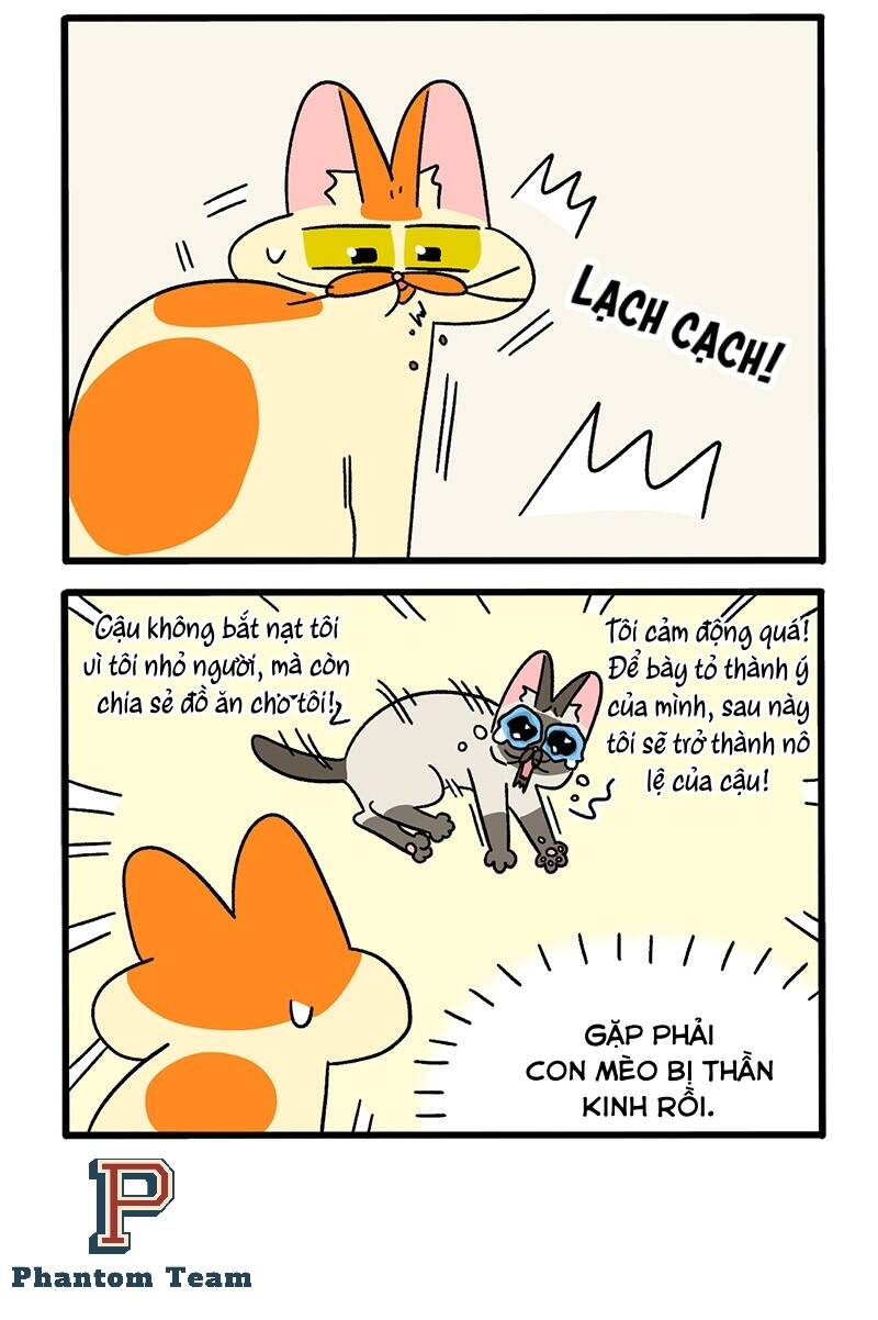 A Mãn Và Mạch Trà Chapter 66.1 - 4