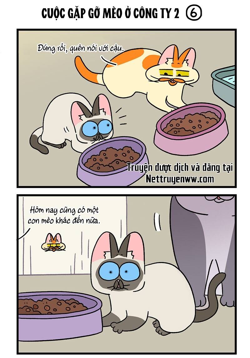 A Mãn Và Mạch Trà Chapter 66.1 - 5