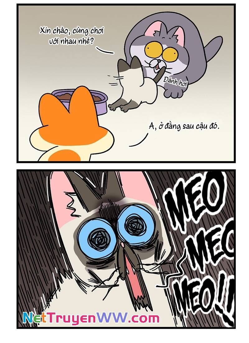 A Mãn Và Mạch Trà Chapter 66.1 - 6