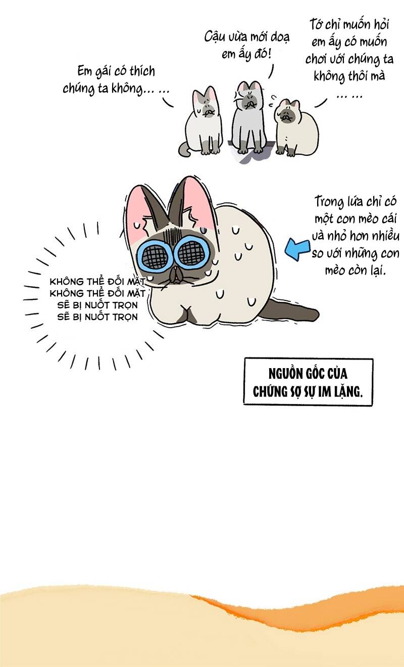 A Mãn Và Mạch Trà Chapter 66.1 - 7