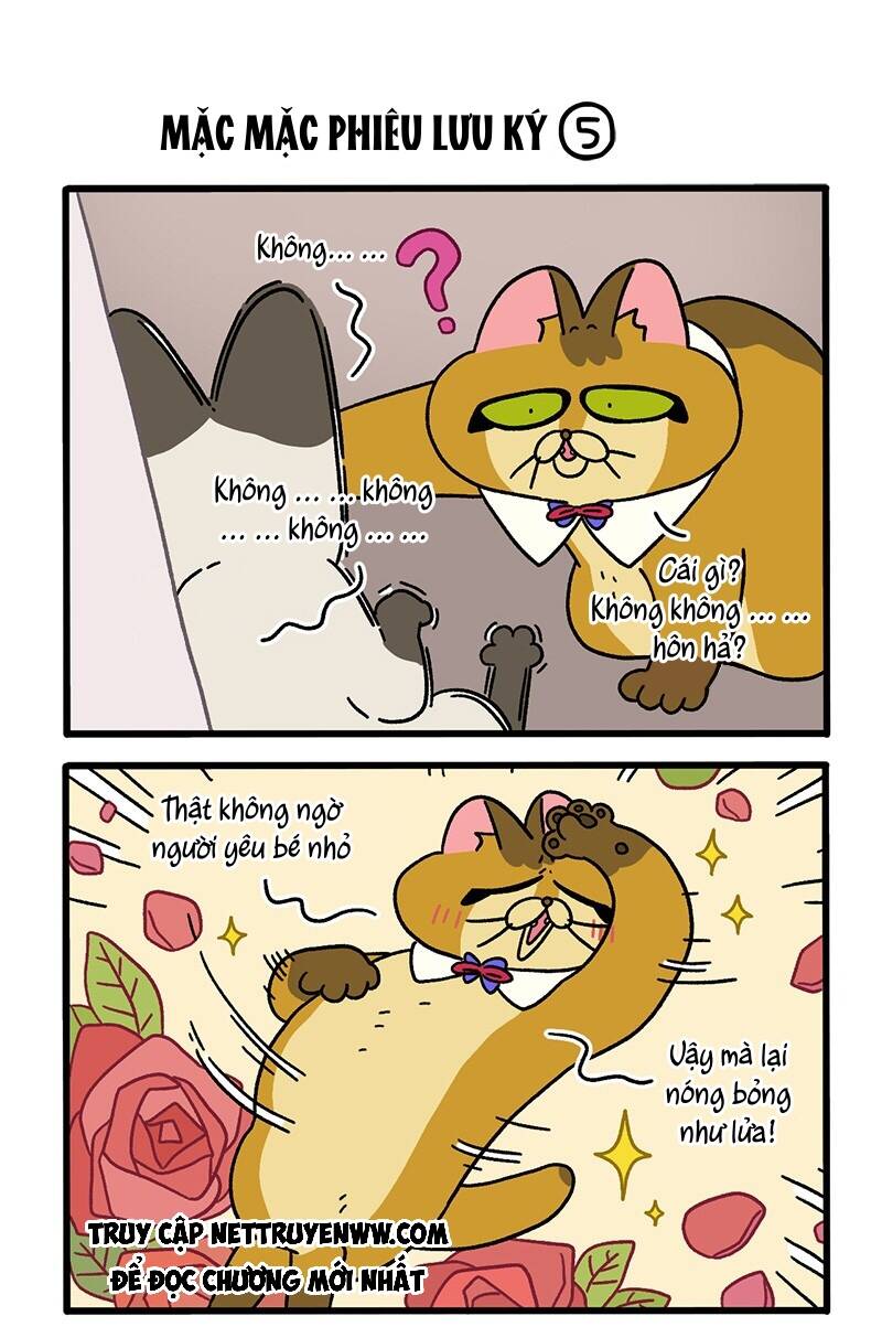 A Mãn Và Mạch Trà Chapter 67.1 - 3