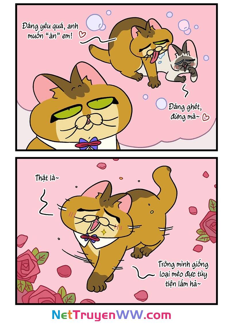 A Mãn Và Mạch Trà Chapter 67.1 - 6