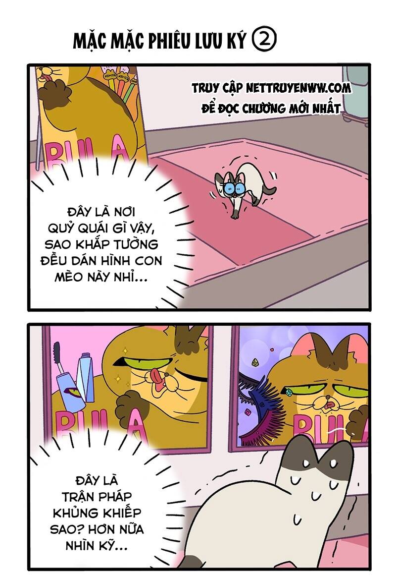 A Mãn Và Mạch Trà Chapter 67 - 3