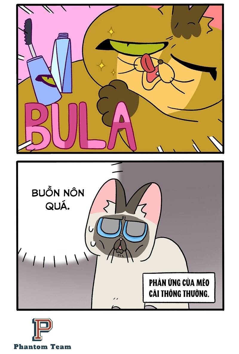 A Mãn Và Mạch Trà Chapter 67 - 4