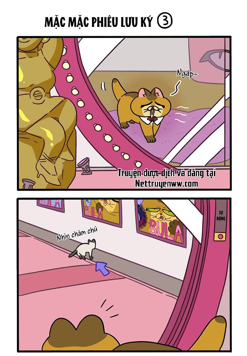 A Mãn Và Mạch Trà Chapter 67 - 5