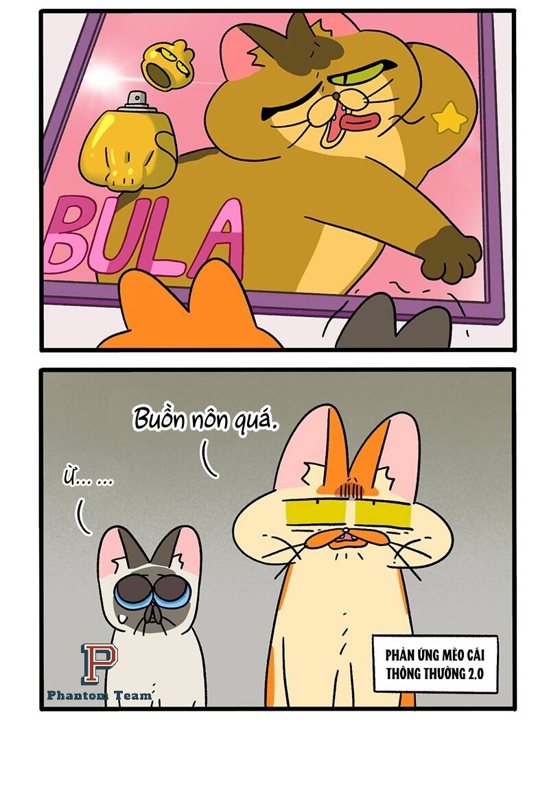 A Mãn Và Mạch Trà Chapter 68.1 - 4