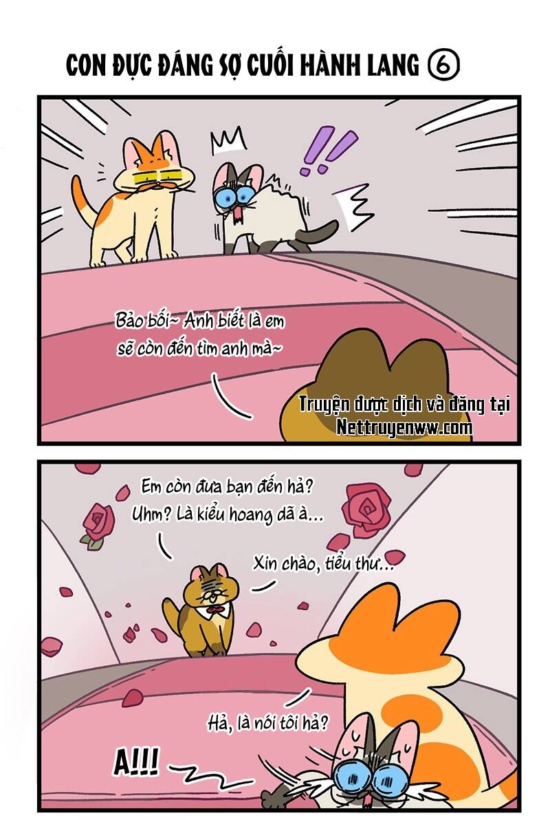 A Mãn Và Mạch Trà Chapter 68.1 - 5