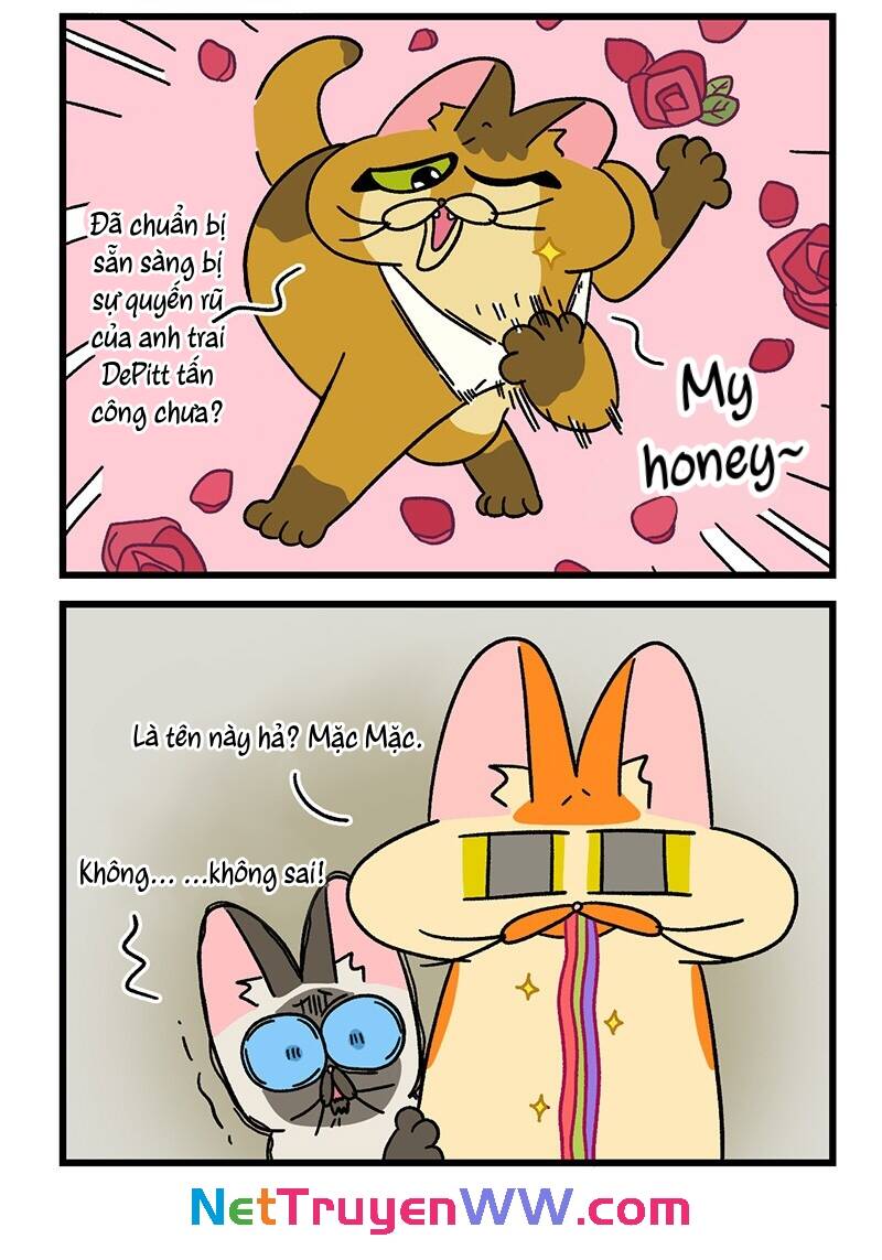 A Mãn Và Mạch Trà Chapter 68.1 - 6