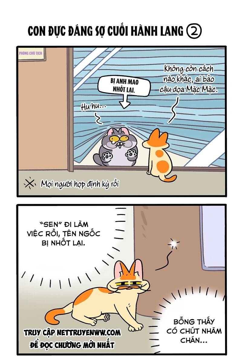 A Mãn Và Mạch Trà Chapter 68 - 3