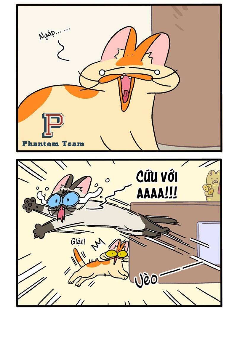 A Mãn Và Mạch Trà Chapter 68 - 4