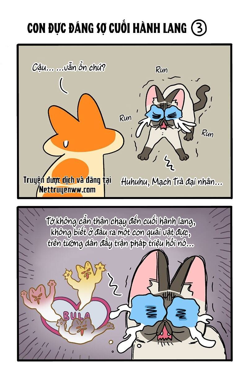 A Mãn Và Mạch Trà Chapter 68 - 5