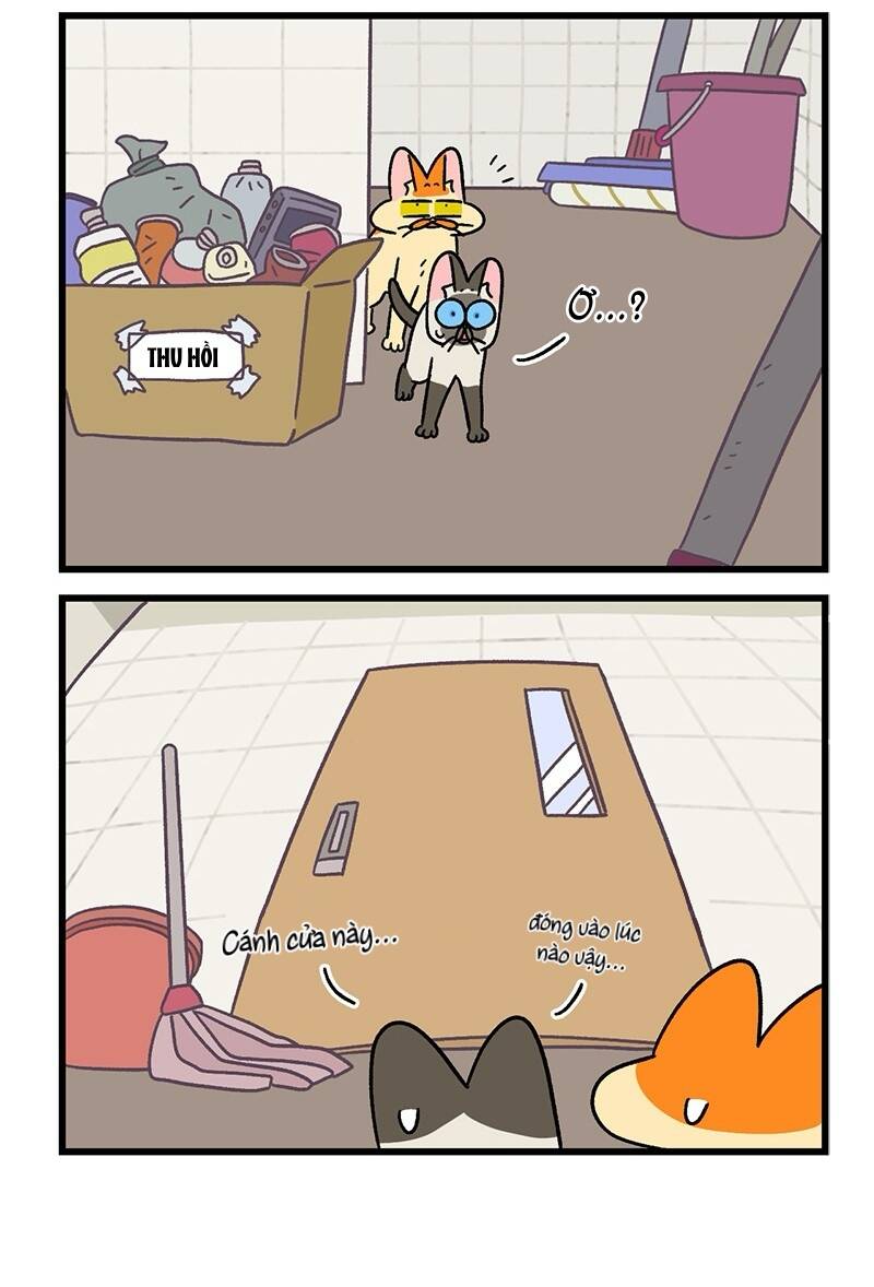 A Mãn Và Mạch Trà Chapter 69.1 - 6