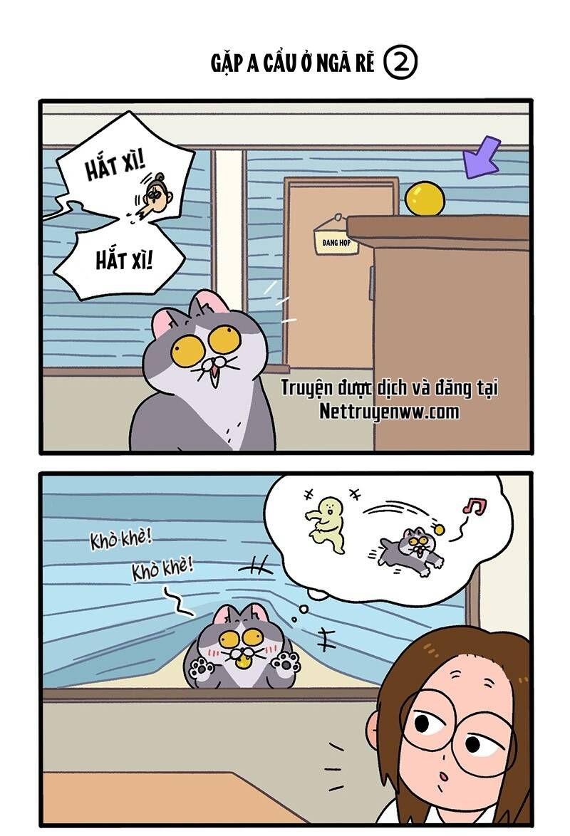 A Mãn Và Mạch Trà Chapter 70.1 - 3