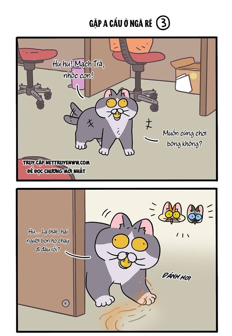 A Mãn Và Mạch Trà Chapter 70.1 - 5