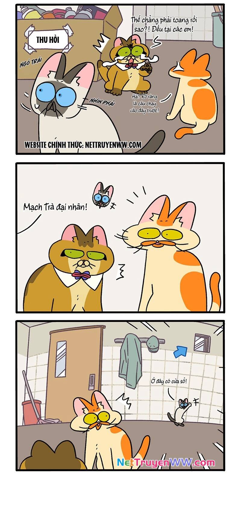 A Mãn Và Mạch Trà Chapter 70 - 2