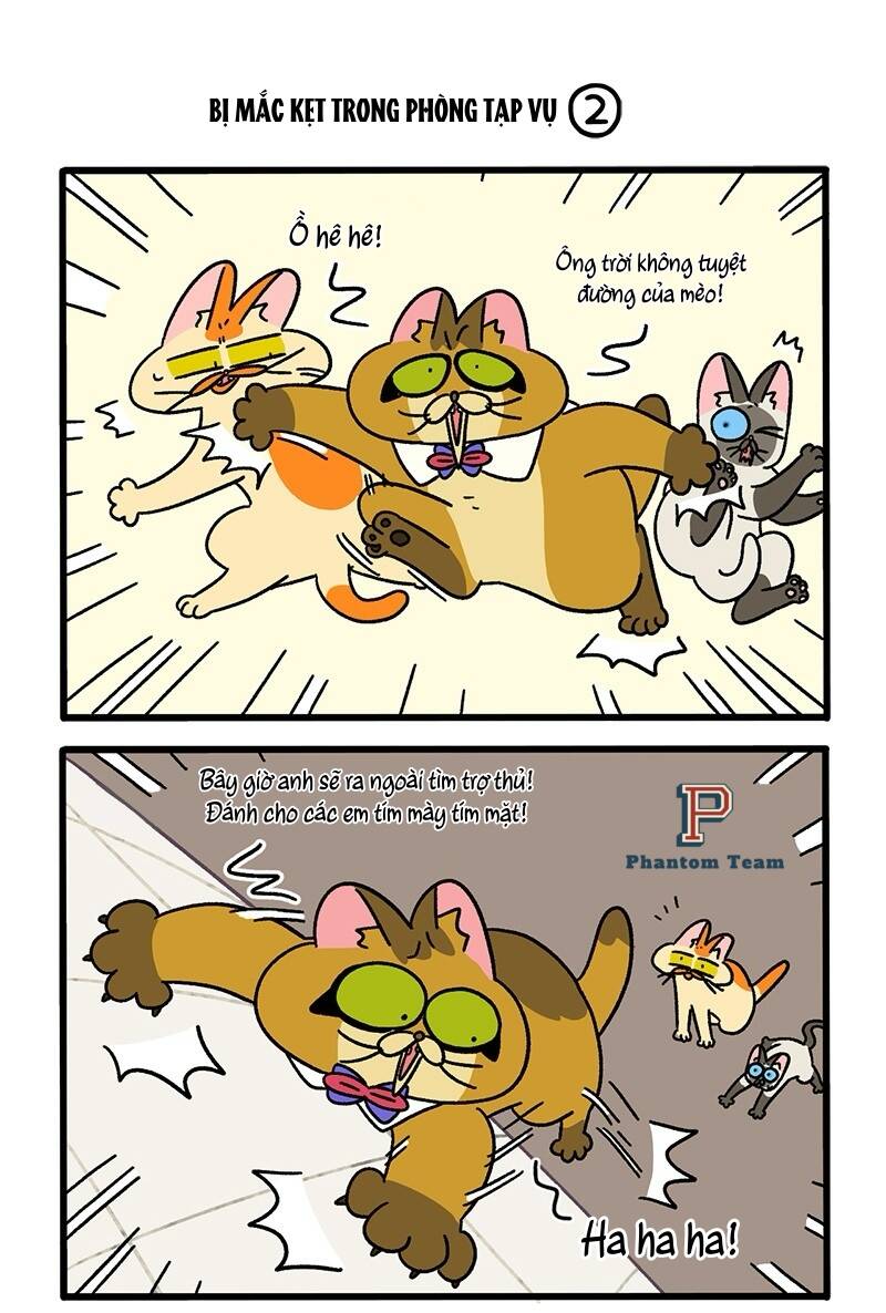 A Mãn Và Mạch Trà Chapter 70 - 3