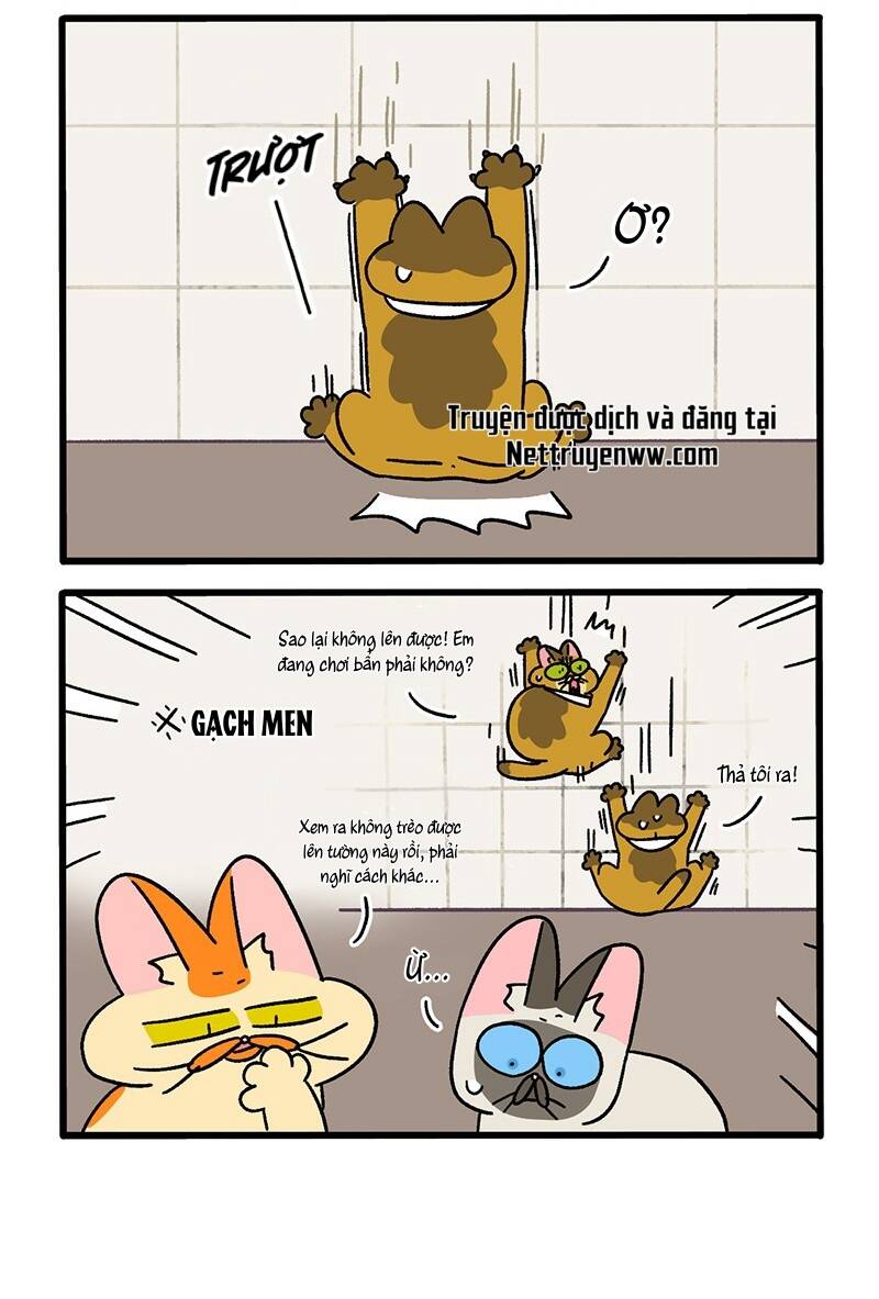 A Mãn Và Mạch Trà Chapter 70 - 4