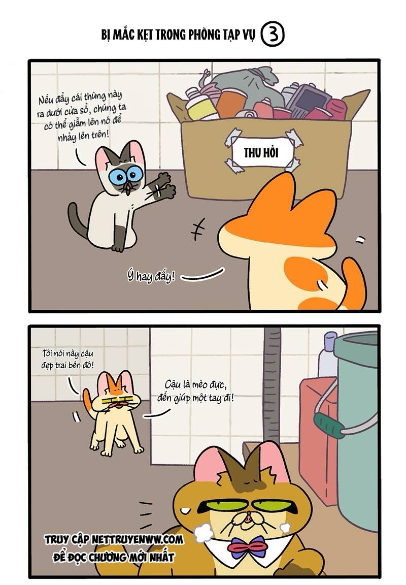 A Mãn Và Mạch Trà Chapter 70 - 5