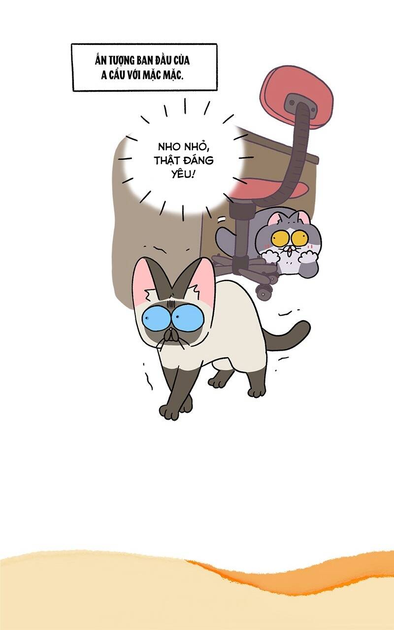 A Mãn Và Mạch Trà Chapter 71 - 7