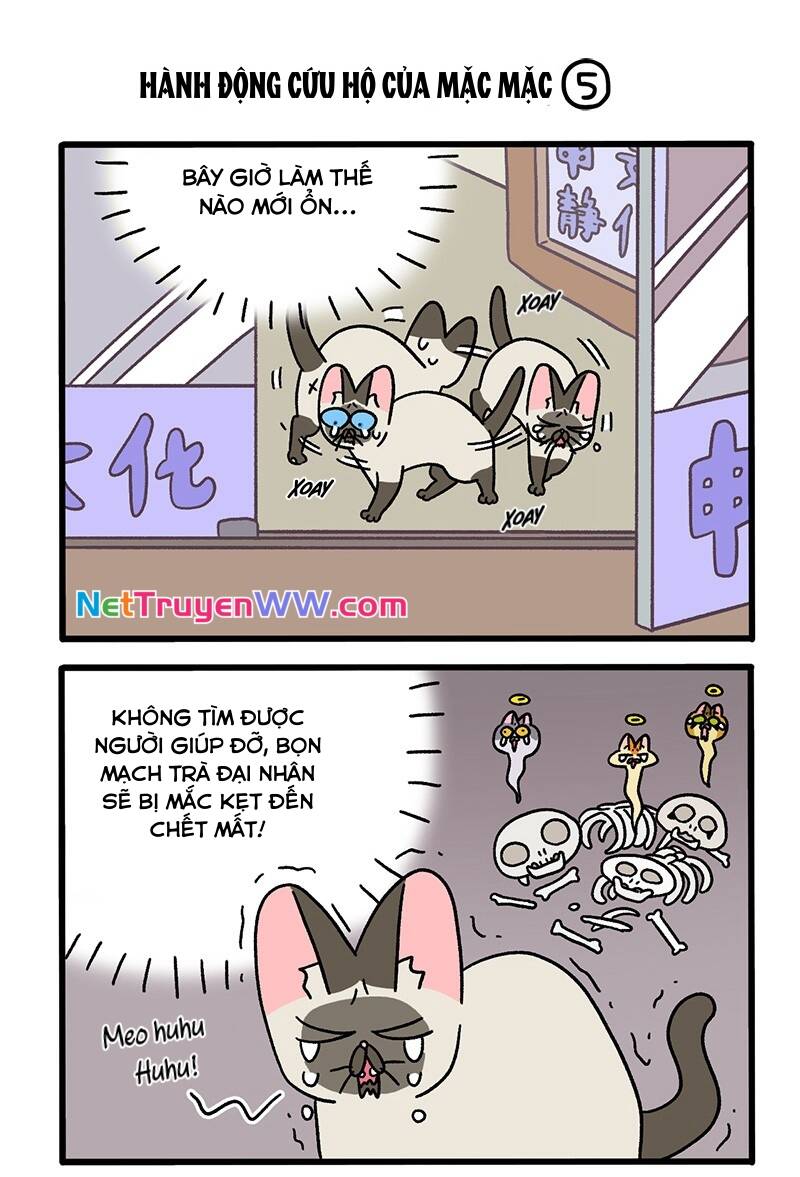 A Mãn Và Mạch Trà Chapter 72.1 - 3