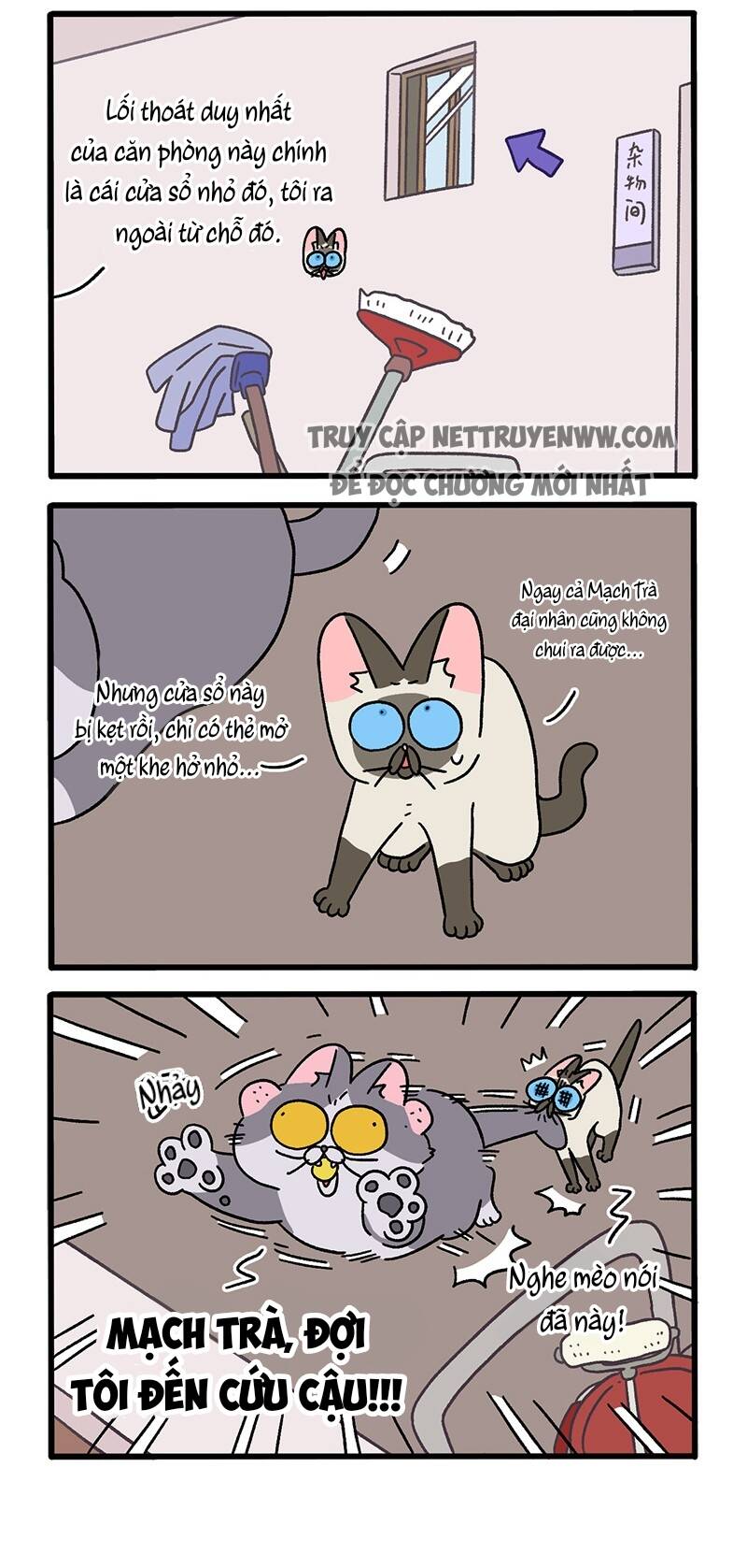 A Mãn Và Mạch Trà Chapter 72 - 2