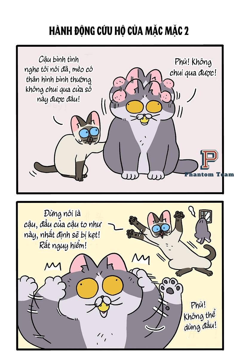 A Mãn Và Mạch Trà Chapter 72 - 3