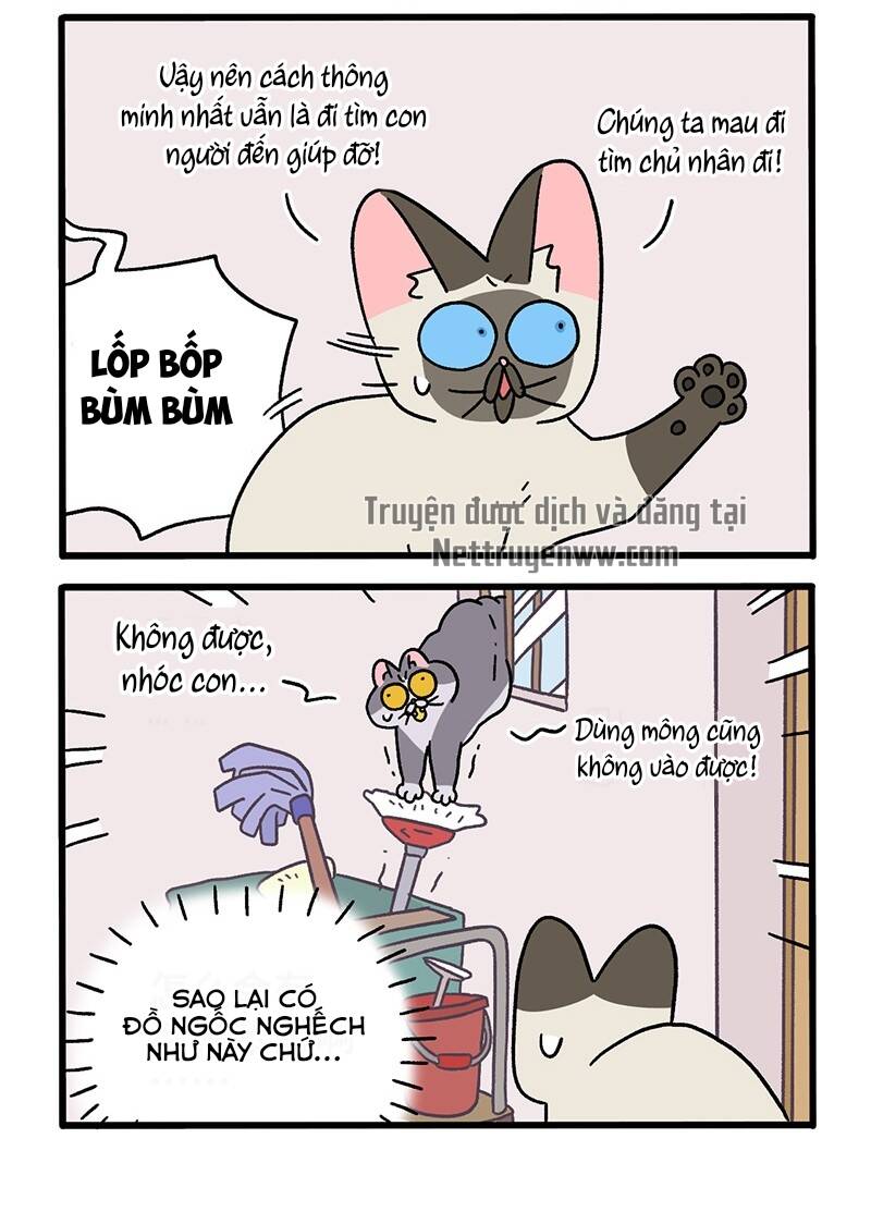 A Mãn Và Mạch Trà Chapter 72 - 4