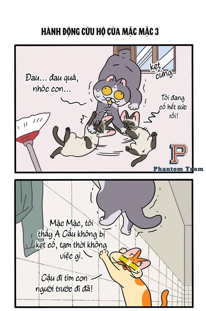 A Mãn Và Mạch Trà Chapter 72 - 5