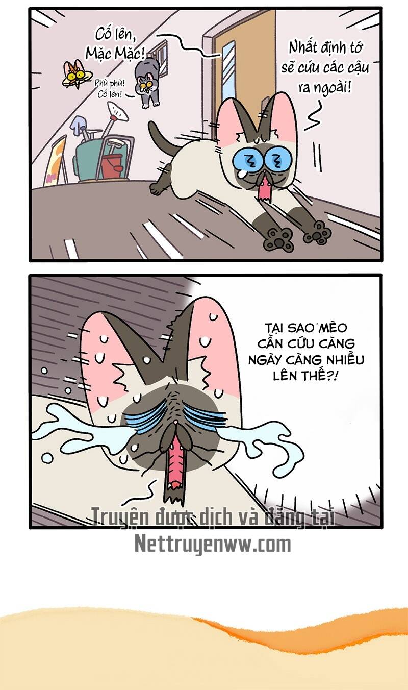 A Mãn Và Mạch Trà Chapter 72 - 6