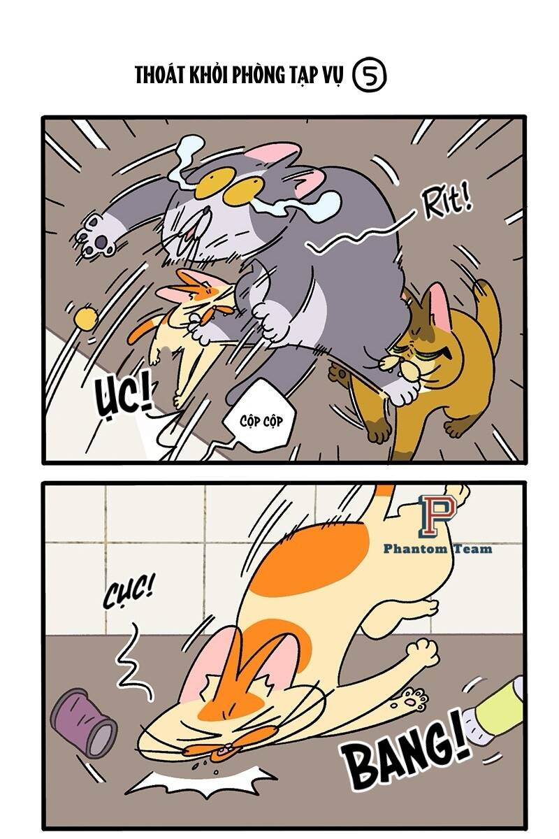 A Mãn Và Mạch Trà Chapter 73.1 - 3