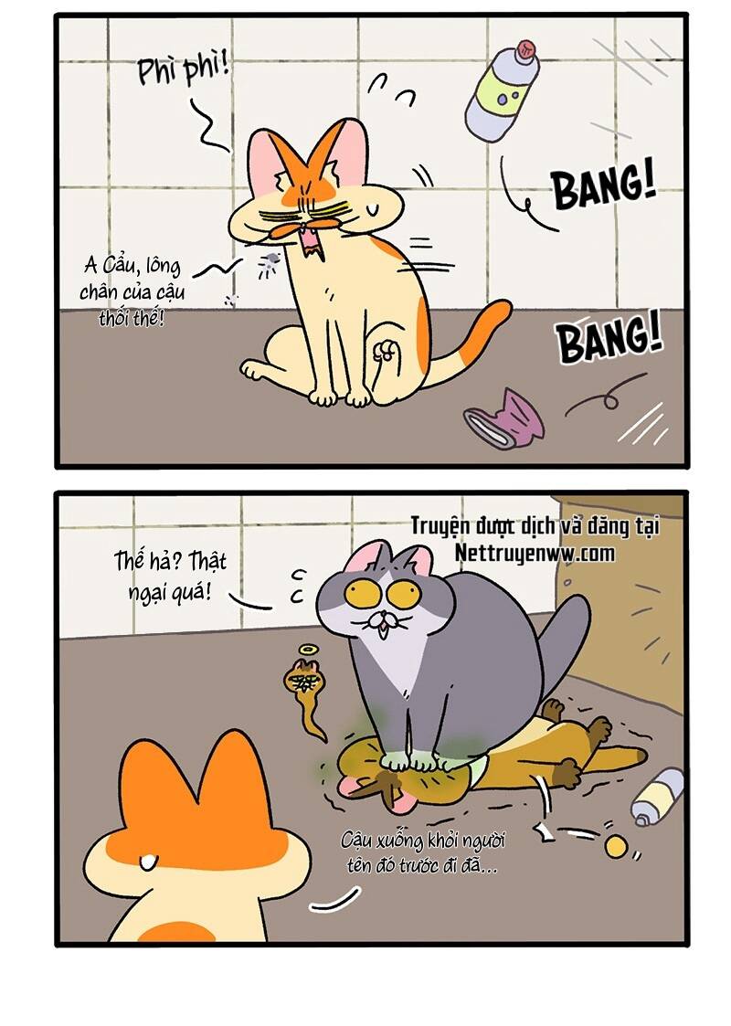 A Mãn Và Mạch Trà Chapter 73.1 - 4