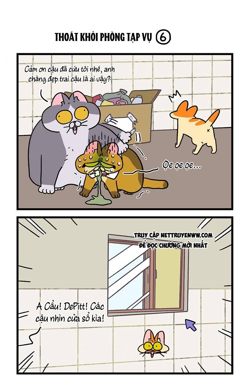 A Mãn Và Mạch Trà Chapter 73.1 - 5