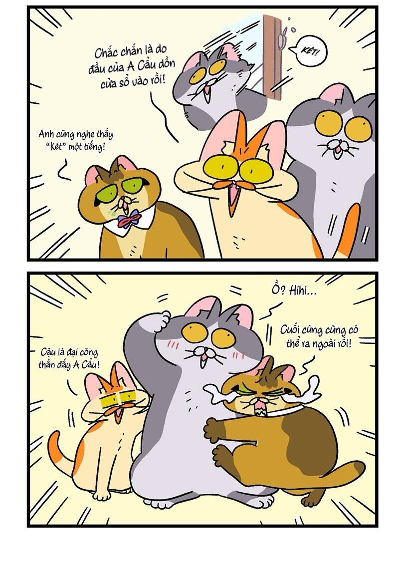 A Mãn Và Mạch Trà Chapter 73.1 - 6