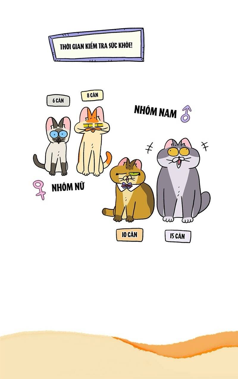 A Mãn Và Mạch Trà Chapter 73.1 - 7