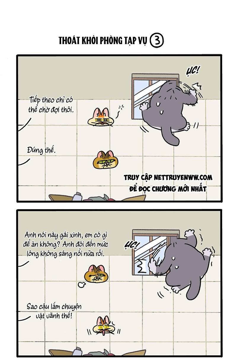 A Mãn Và Mạch Trà Chapter 73 - 5