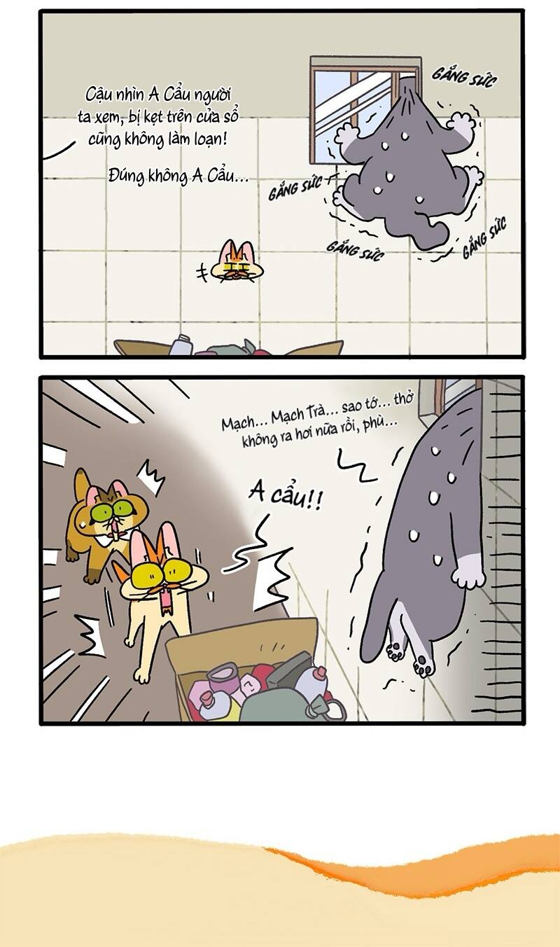 A Mãn Và Mạch Trà Chapter 73 - 6