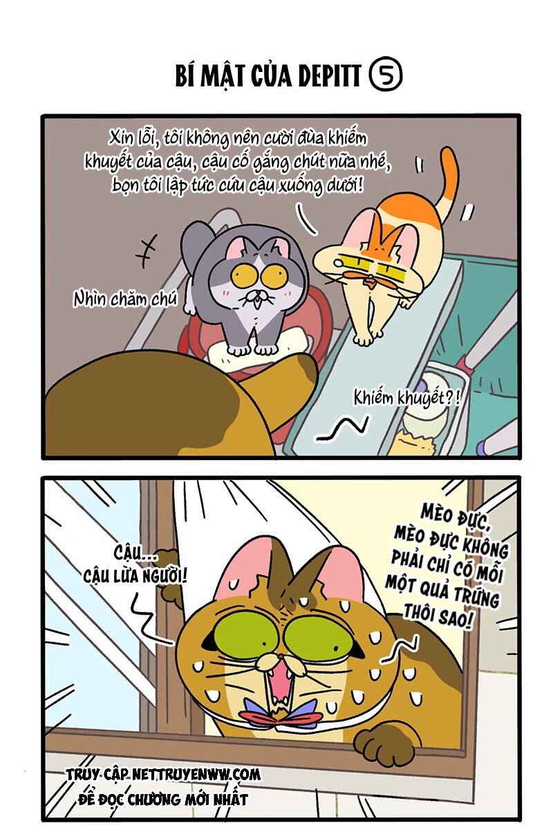 A Mãn Và Mạch Trà Chapter 74.1 - 3