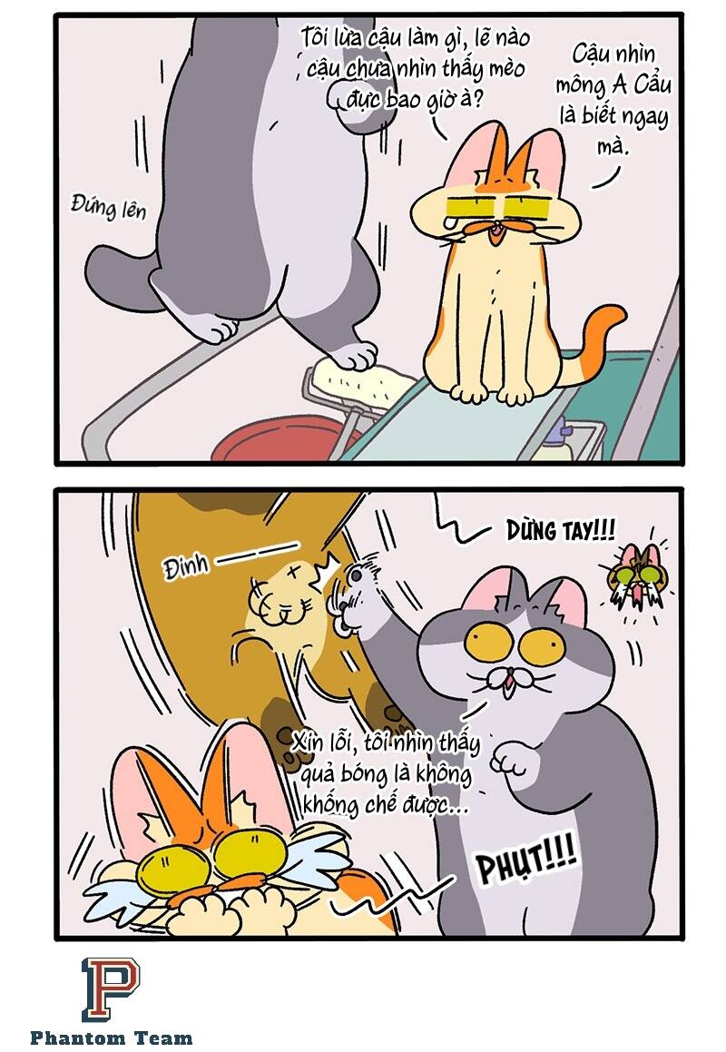 A Mãn Và Mạch Trà Chapter 74.1 - 4