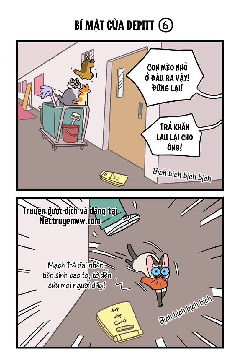 A Mãn Và Mạch Trà Chapter 74.1 - 5