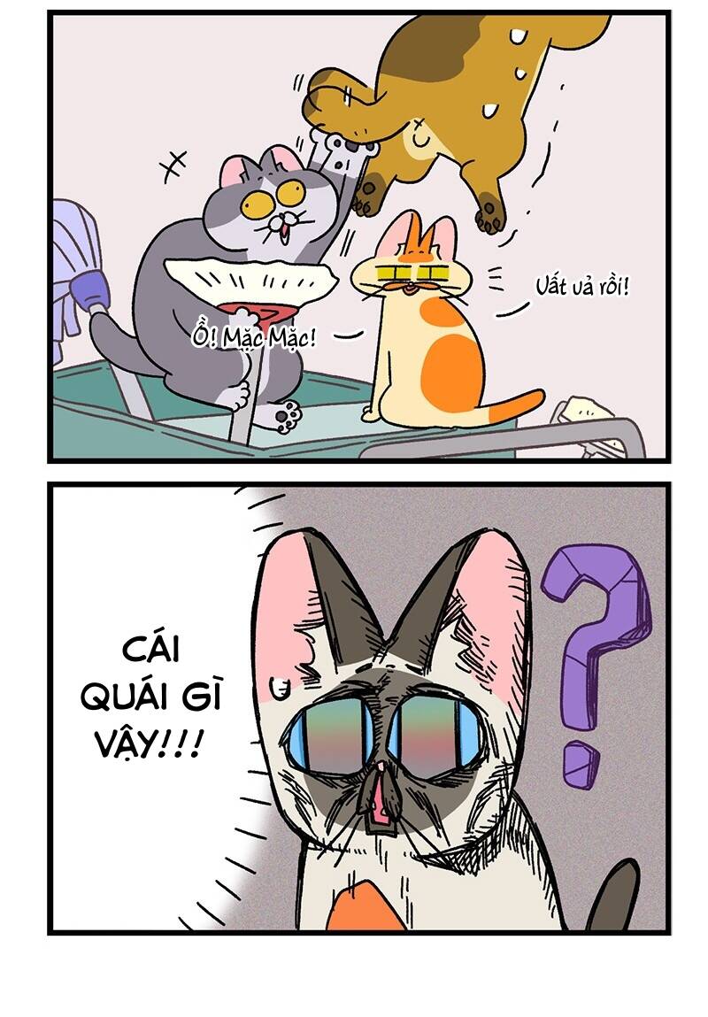 A Mãn Và Mạch Trà Chapter 74.1 - 6