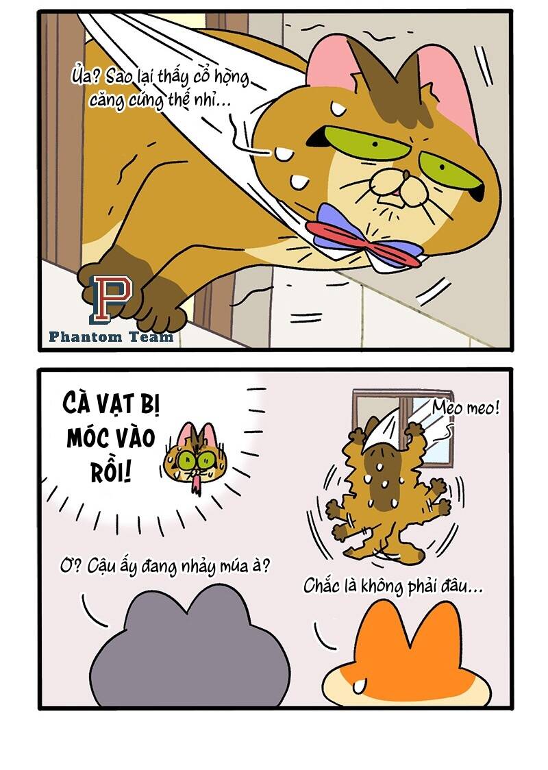 A Mãn Và Mạch Trà Chapter 74 - 4