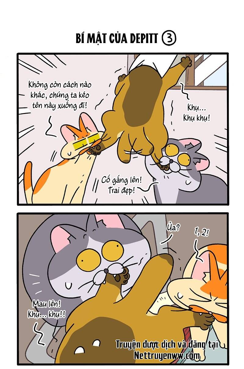 A Mãn Và Mạch Trà Chapter 74 - 5