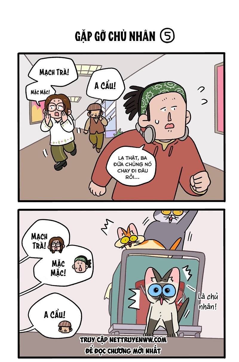 A Mãn Và Mạch Trà Chapter 75.1 - 3