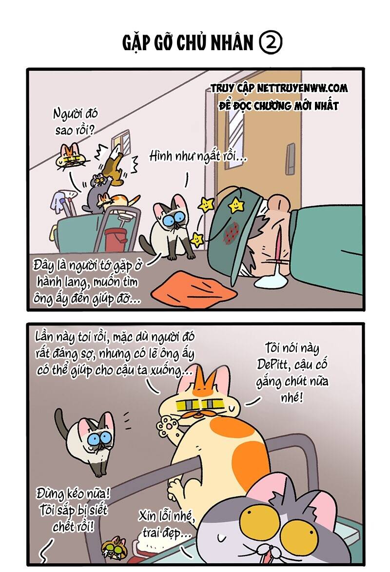 A Mãn Và Mạch Trà Chapter 75 - 3