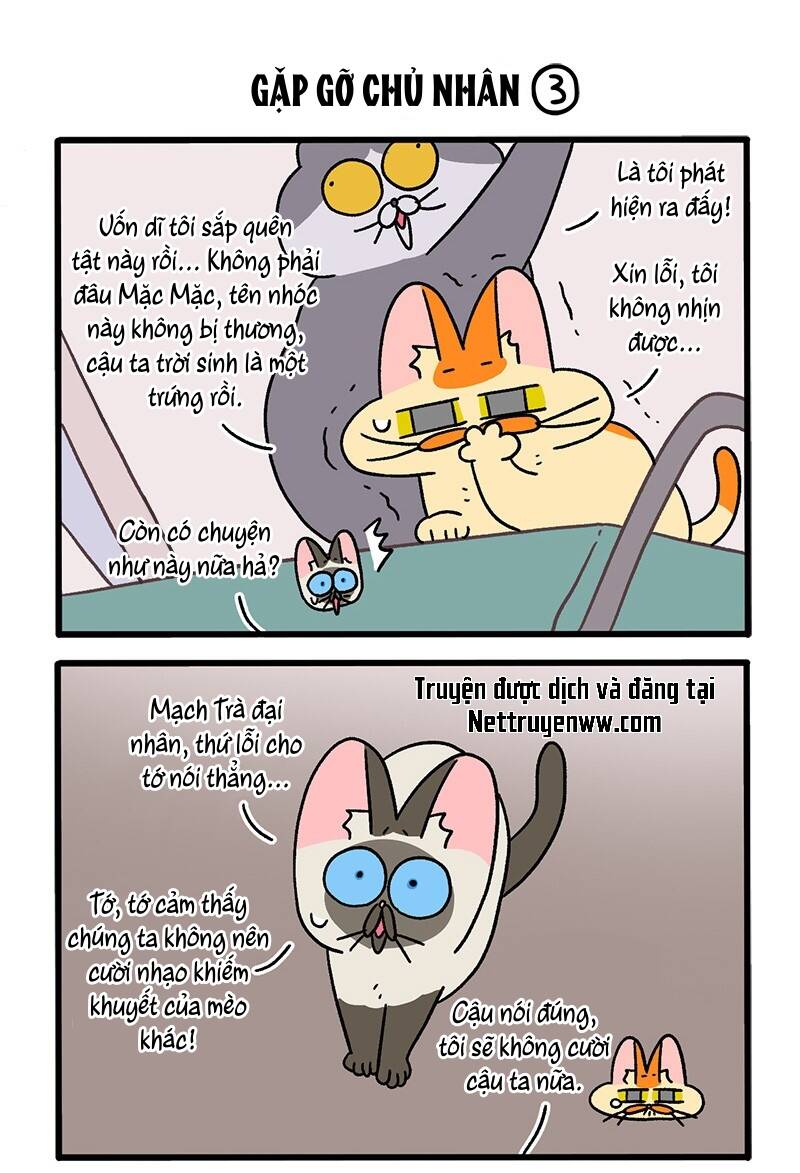 A Mãn Và Mạch Trà Chapter 75 - 5