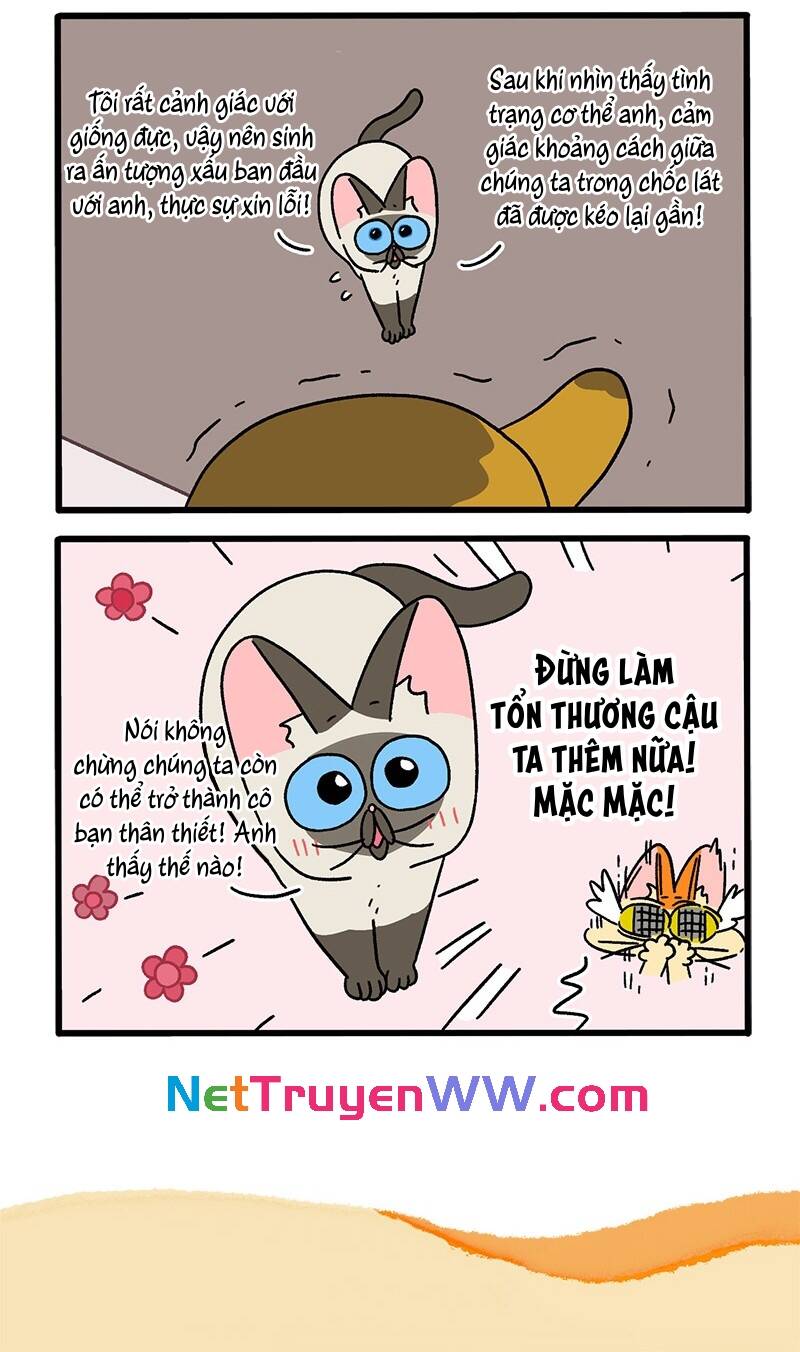 A Mãn Và Mạch Trà Chapter 75 - 6