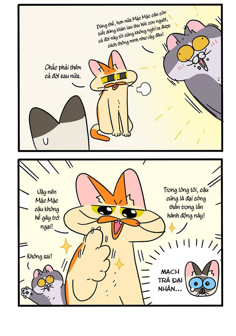 A Mãn Và Mạch Trà Chapter 79 - 4