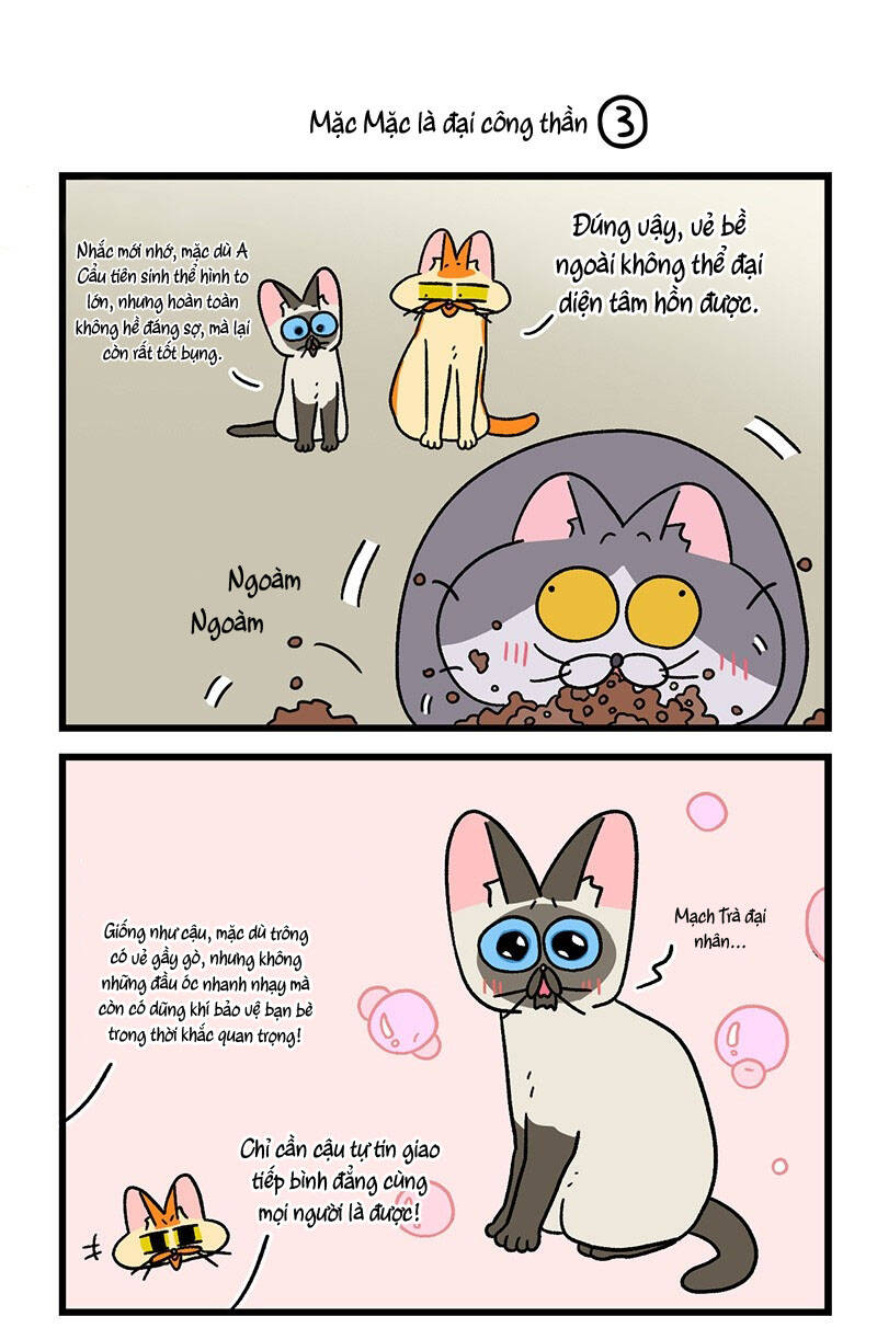 A Mãn Và Mạch Trà Chapter 79 - 5