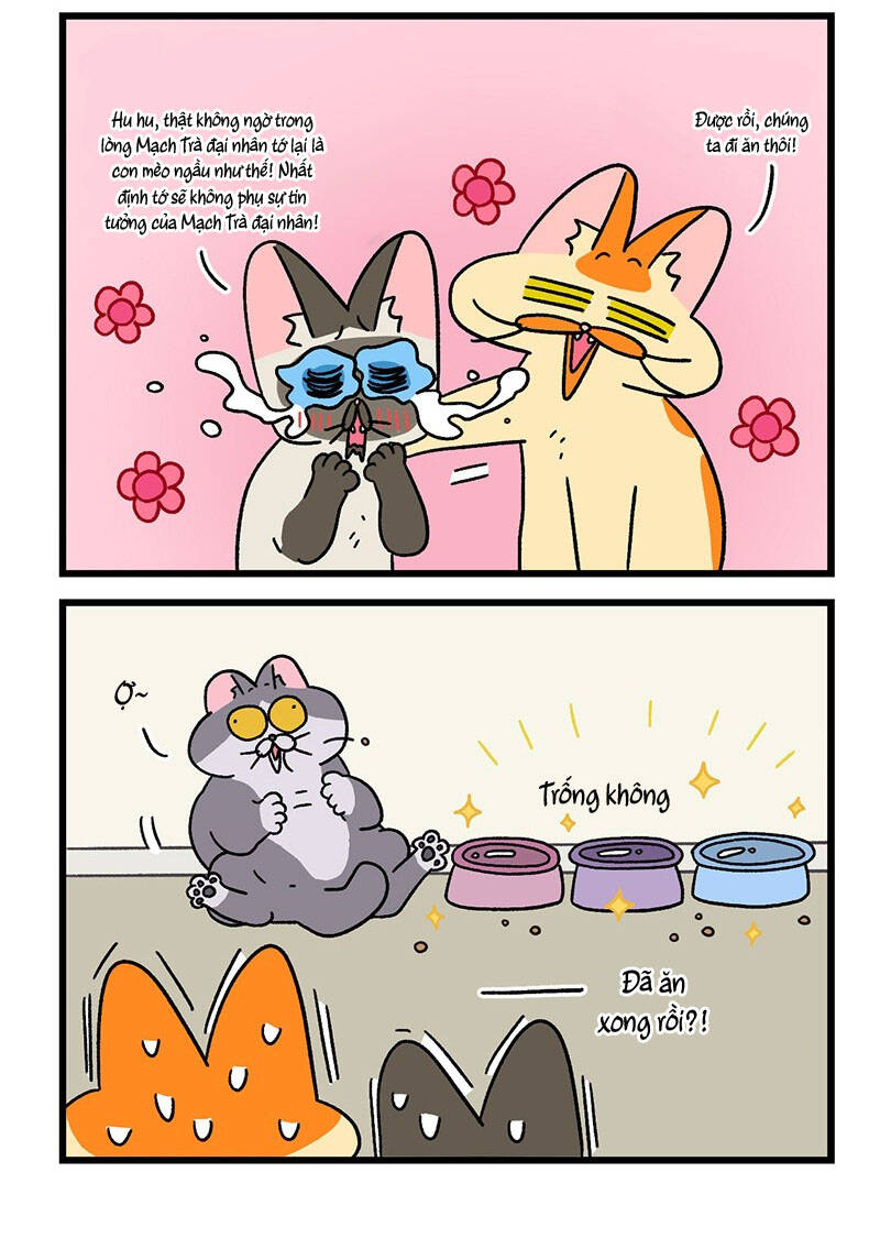 A Mãn Và Mạch Trà Chapter 79 - 6