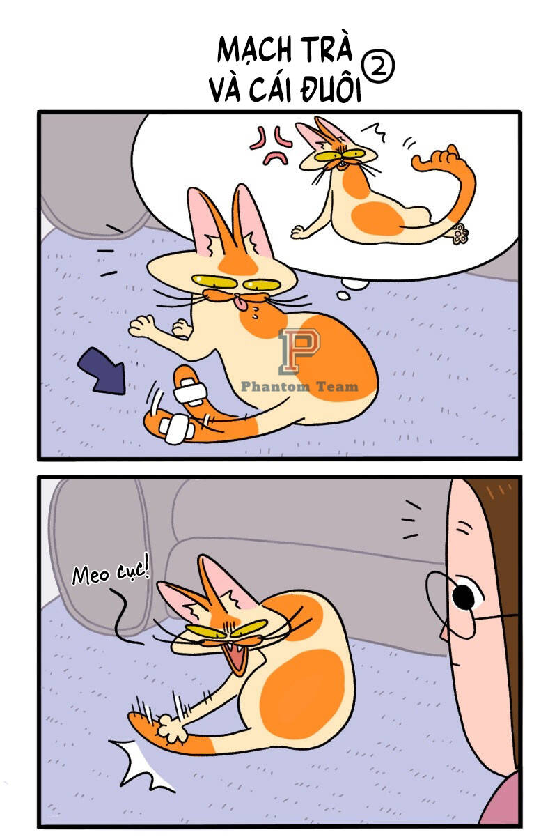 A Mãn Và Mạch Trà Chapter 8 - 3